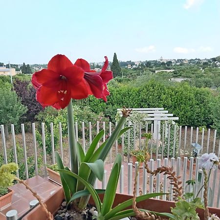 Bed and Breakfast Casa Mastronardi Castellana Grotte Exterior foto